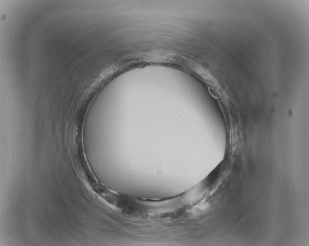 X0000081570201200701291223