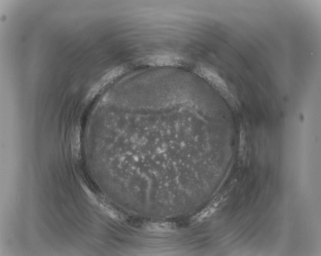 X0000081570202200701291223