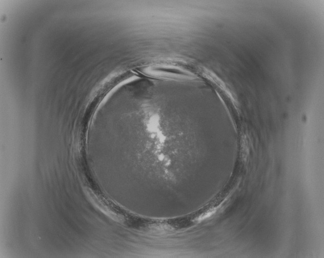 X0000081570203200701291223