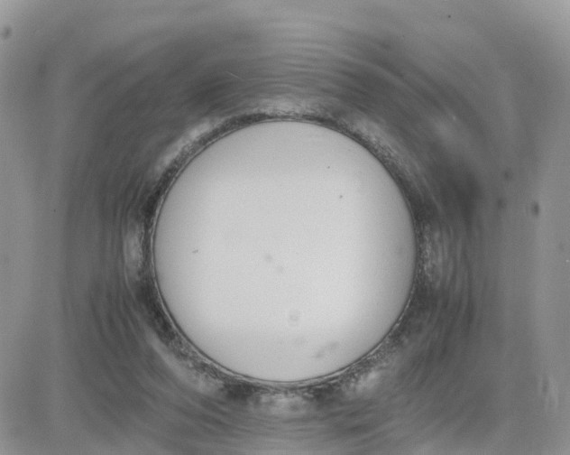 X0000081570208200701291223