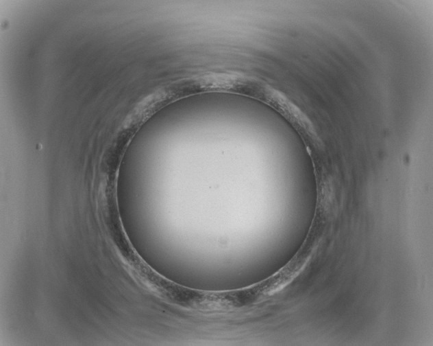 X0000081570209200701291223