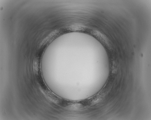 X0000081570210200701291223