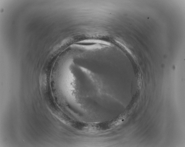 X0000081570211200701291223