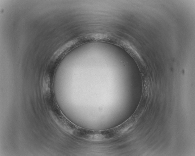 X0000081570212200701291223