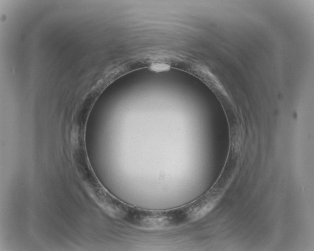 X0000081570213200701291223