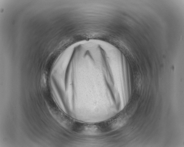 X0000081570214200701291223