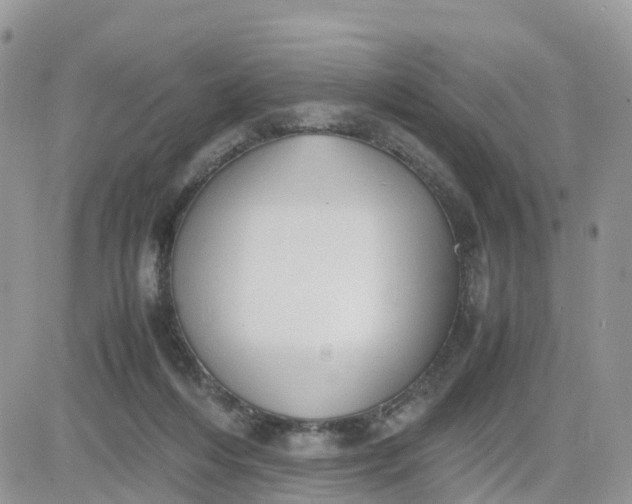 X0000081570216200701291223