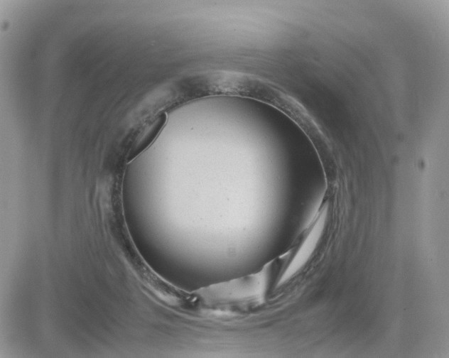 X0000081570217200701291223