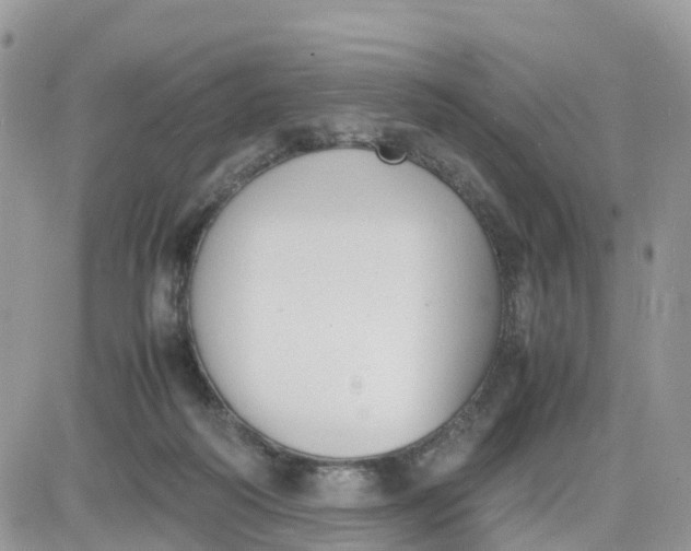 X0000081570218200701291223