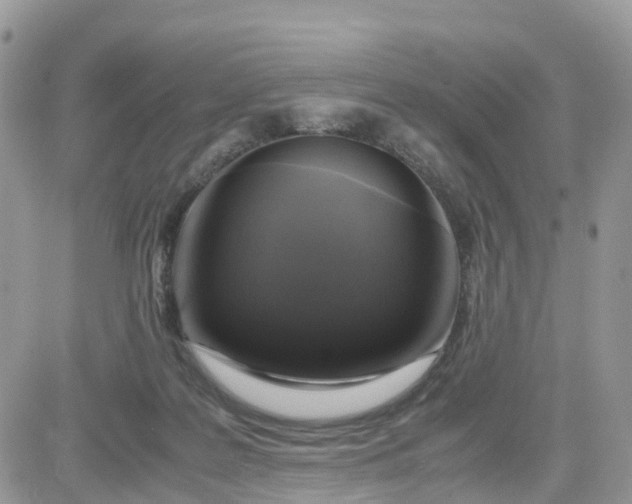 X0000081570219200701291223