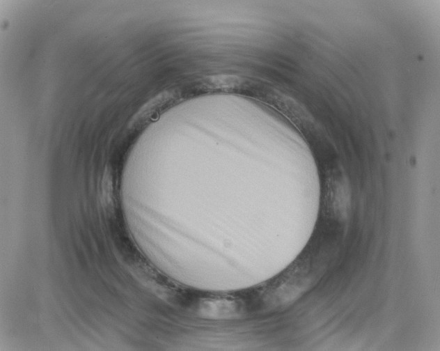 X0000081570220200701291223