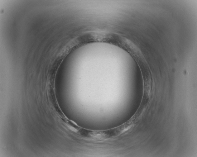 X0000081570221200701291223