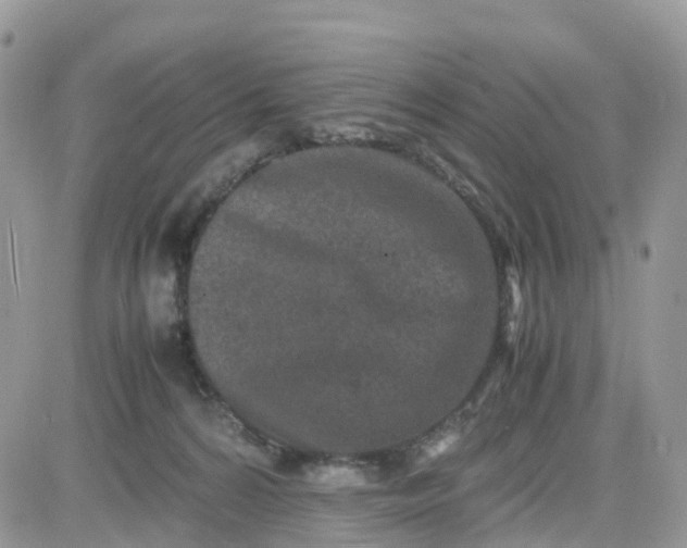 X0000081570224200701291223