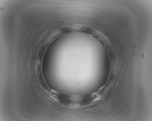 X0000081570225200701291223