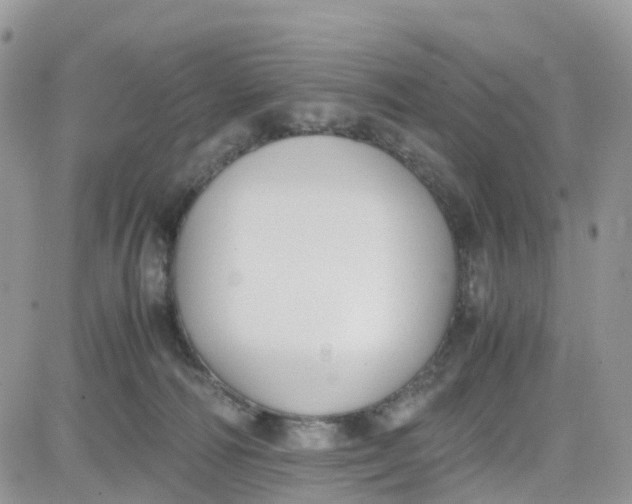 X0000081570226200701291223