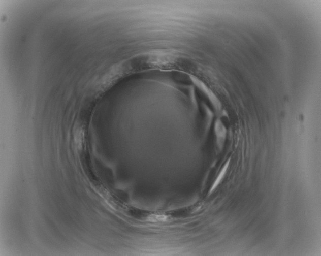 X0000081570227200701291223