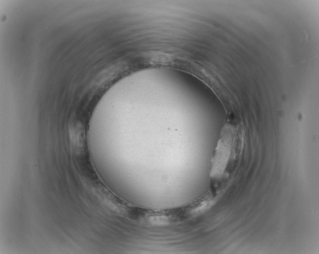 X0000081570228200701291223