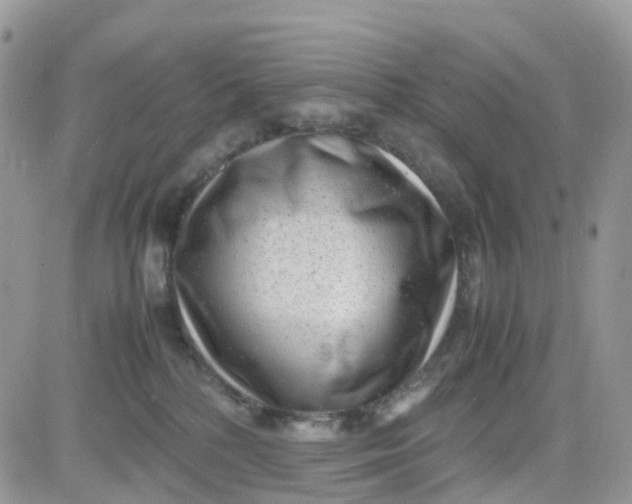 X0000081570232200701291223