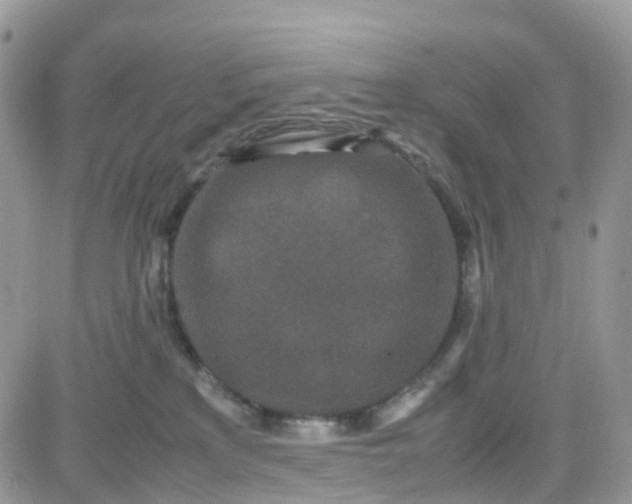 X0000081570233200701291223