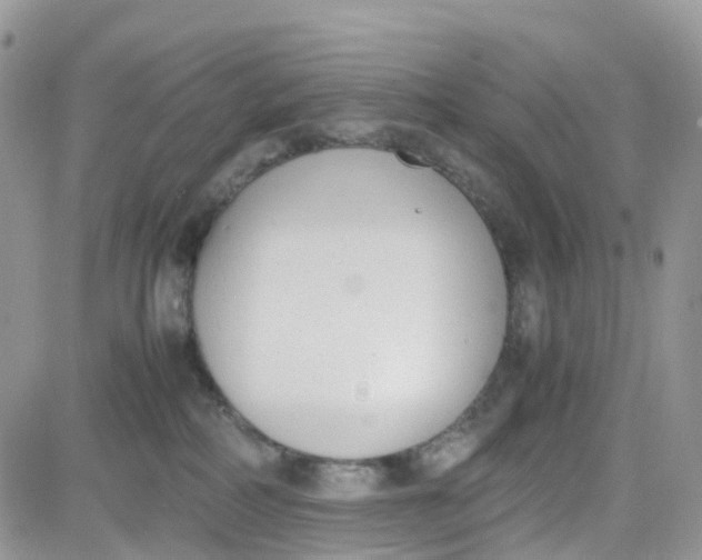 X0000081570234200701291223