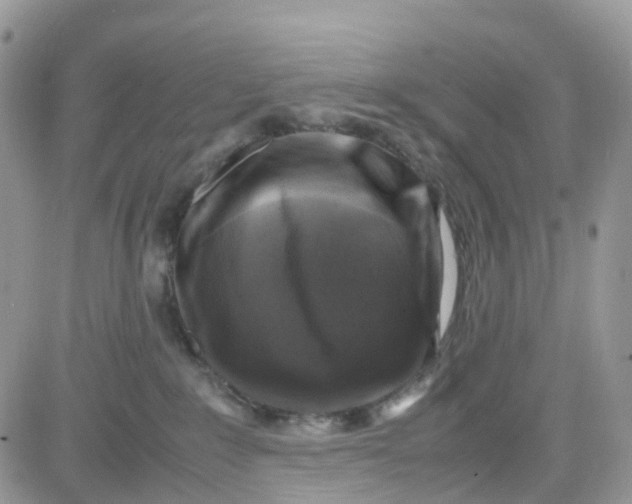 X0000081570235200701291223