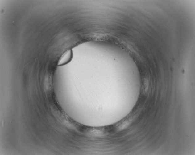 X0000081570236200701291223