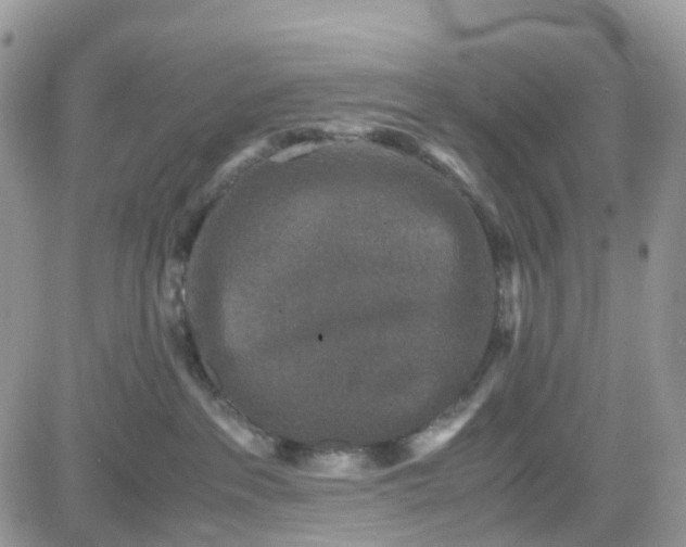 X0000081570237200701291223