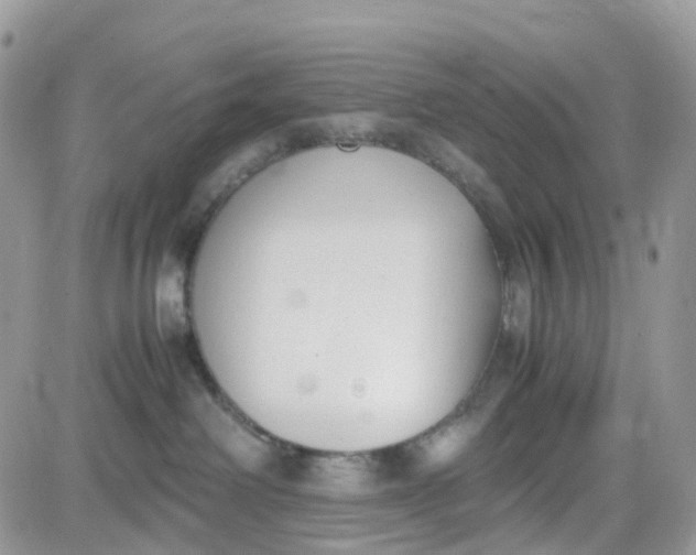 X0000081570238200701291223