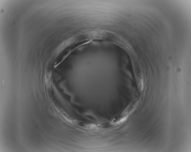 X0000081570239200701291223