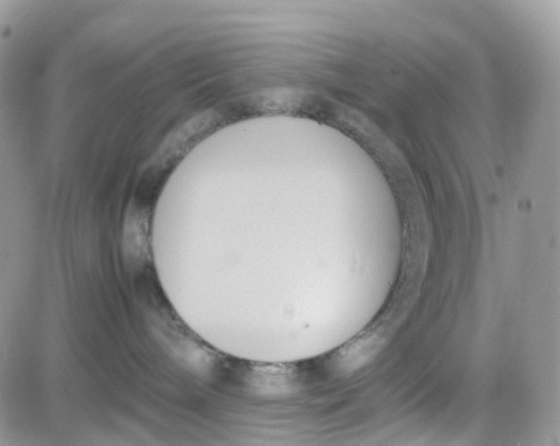 X0000081570240200701291223