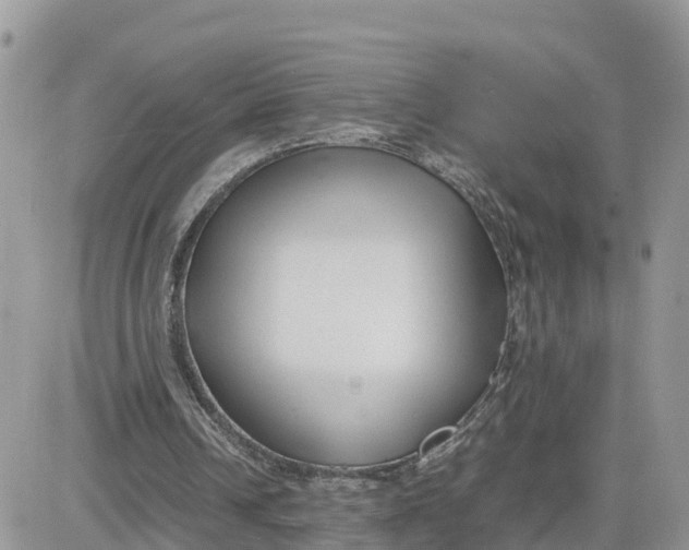 X0000081570242200701291222