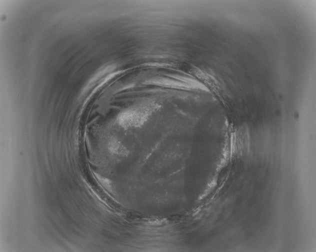 X0000081570243200701291222