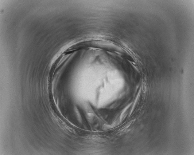 X0000081570244200701291222