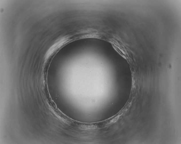 X0000081570245200701291222