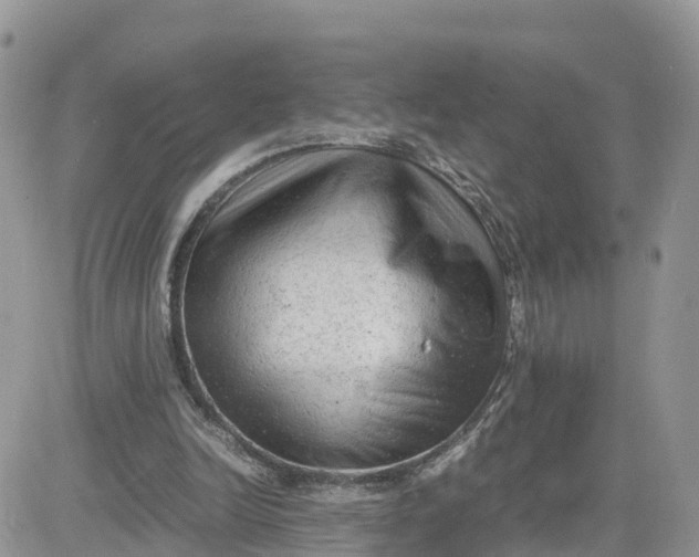 X0000081570246200701291222