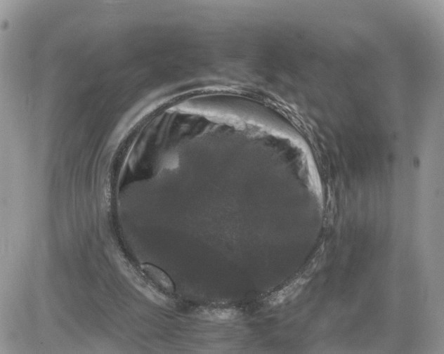 X0000081570247200701291222