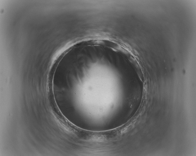 X0000081570248200701291222