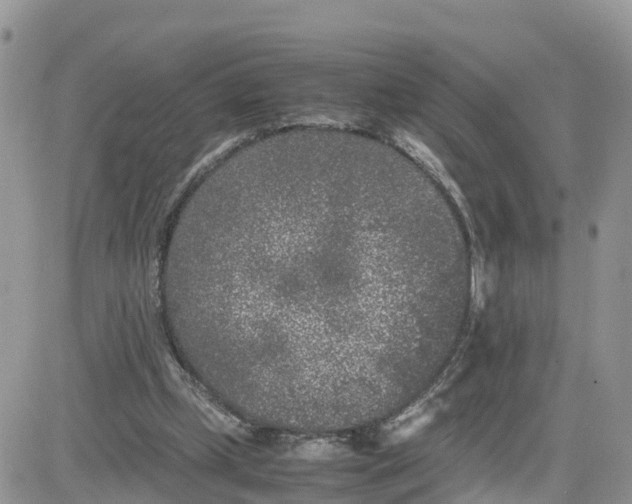 X0000081570249200701291222