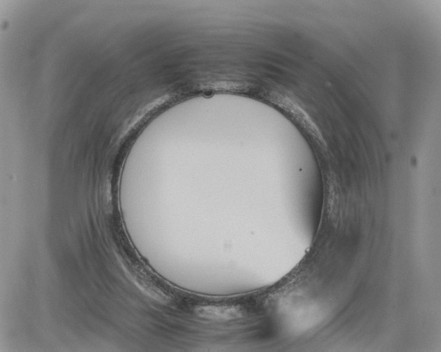 X0000081570251200701291222