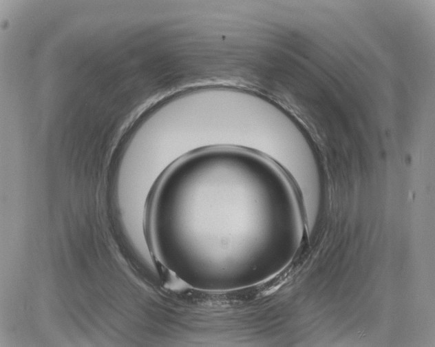 X0000081570252200701291222