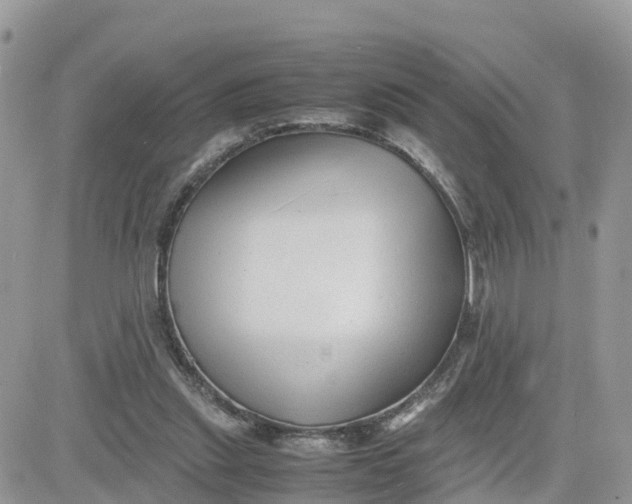 X0000081570253200701291222