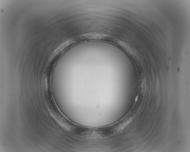 X0000081570254200701291222