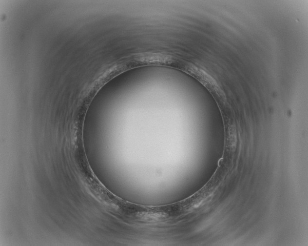 X0000081570255200701291222