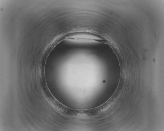 X0000081570256200701291222