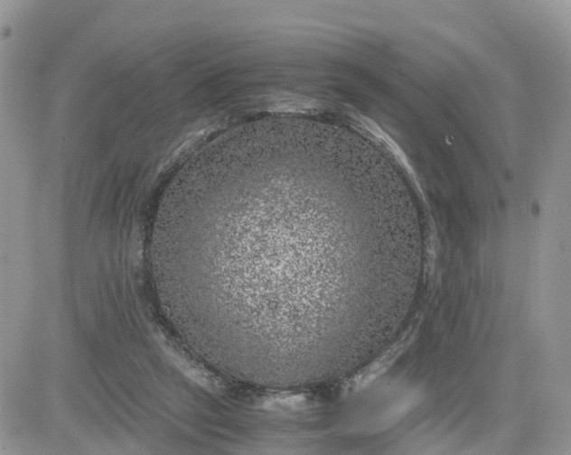 X0000081570257200701291222