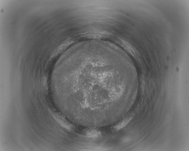 X0000081570258200701291222