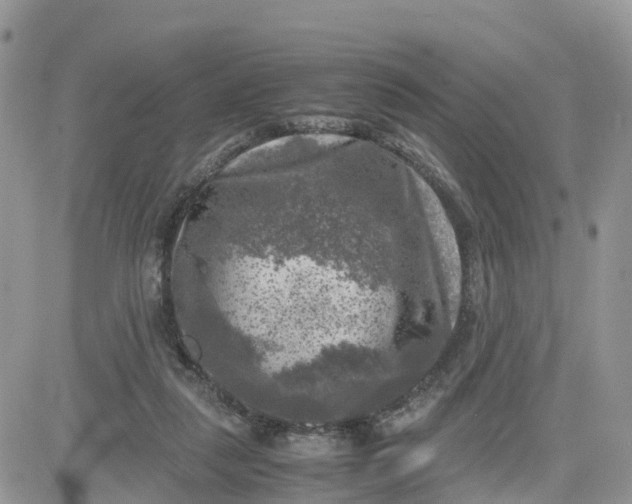 X0000081570259200701291222