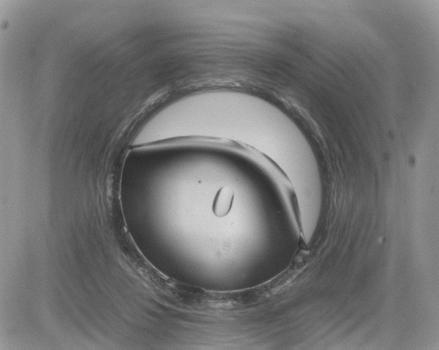 X0000081570260200701291222