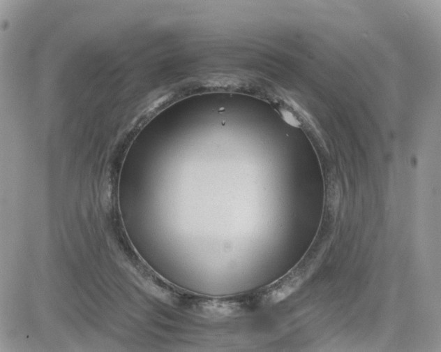 X0000081570261200701291222