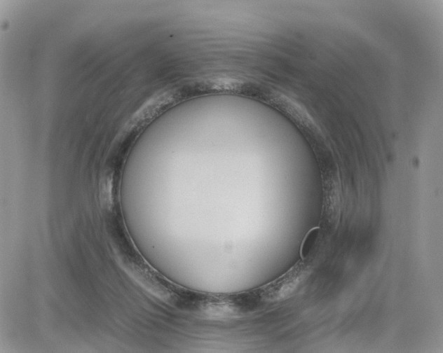 X0000081570262200701291222